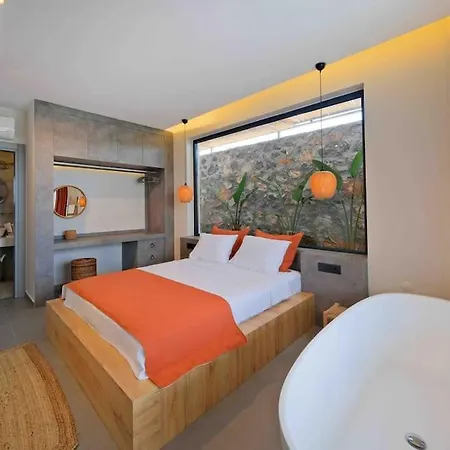Vila The Bliss House
